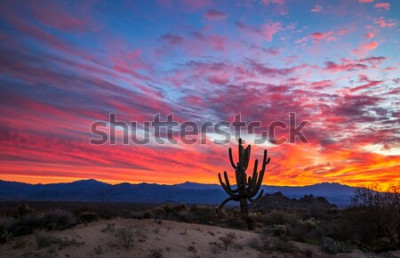 Papier peint  Coucher de soleil coloré dans le désert