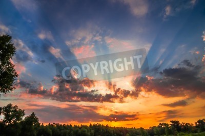 Papier peint  Coucher de soleil dans le jardin