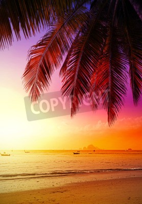 Papier peint  Coucher de soleil de vacances