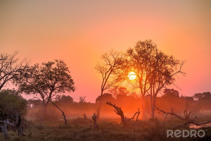 Papier peint  Coucher de soleil en Afrique