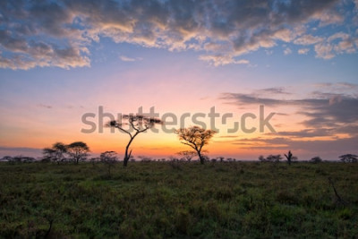 Papier peint  Coucher de soleil en Afrique