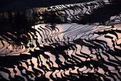 Papier peint  Coucher de soleil se reflétant sur le champ