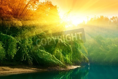 Papier peint  Coucher de soleil sur la forêt vierge