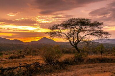Papier peint  Coucher de soleil sur la savane africaine