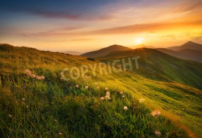 Papier peint  Coucher de soleil sur une clairière avec des sarbacanes