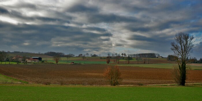 Papier peint  couleurs et nature