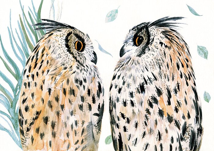 Papier peint  Couple de chouettes version aquarelle avec des plumes noires tachetées