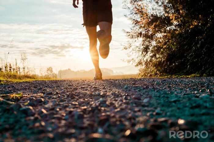 Papier peint  Courir dans le pays