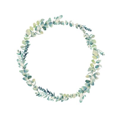 Couronne d'eucalyptus Aquarelle. Cadre rond floral peint à la main isolé sur fond blanc.