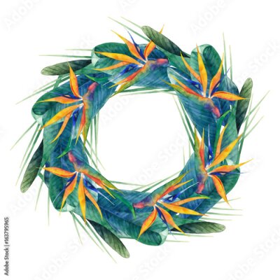 Papier peint  Couronne de strelitzia d'aquarelle