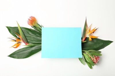 Papier peint  Creative composition with tropical leaves and strelitzia flowers on white background