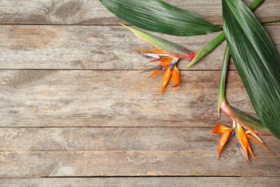Papier peint  Creative flat lay composition with strelitzia flowers and tropical leaves  on wooden background