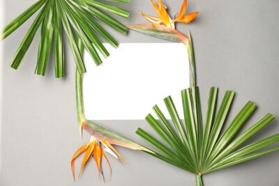 Papier peint  Creative flat lay composition with tropical leaves and strelitzia flowers on gray background