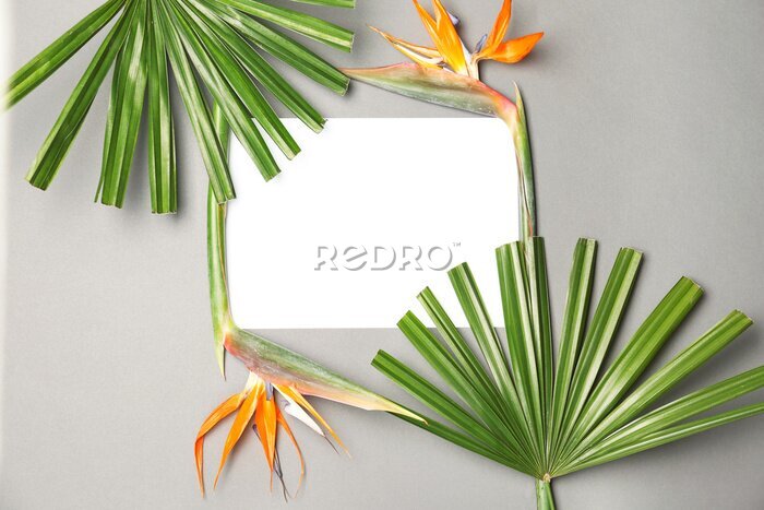 Papier peint  Creative flat lay composition with tropical leaves and strelitzia flowers on gray background