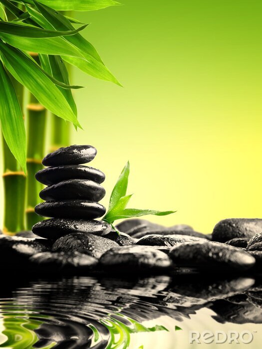 Papier peint  Croissance