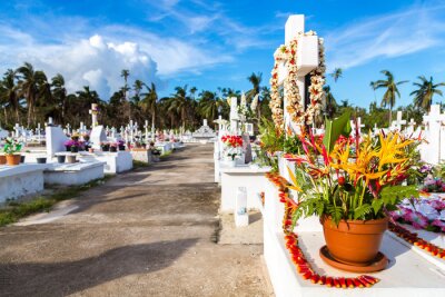 Papier peint  Croix blanches d'un cimetière chrétien, île d'Uvea (Wallis), territoire de Wallis-et-Futuna (Wallis-et-Futuna), collectivité française d'outre-mer. Strelitzia bouquet de fleurs sur une tombe au premie