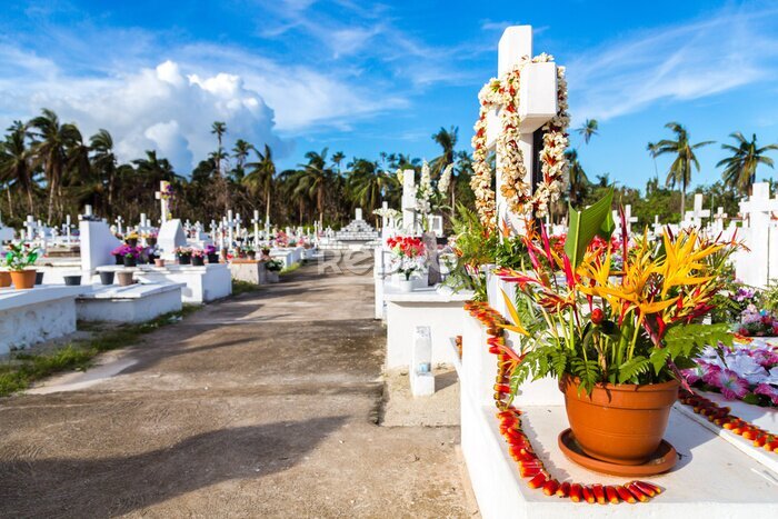 Papier peint  Croix blanches d'un cimetière chrétien, île d'Uvea (Wallis), territoire de Wallis-et-Futuna (Wallis-et-Futuna), collectivité française d'outre-mer. Strelitzia bouquet de fleurs sur une tombe au premie