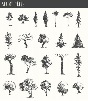 Papier peint  Croquis d'arbres