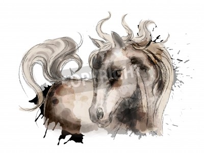 Papier peint  Croquis de chevaux à l'aquarelle