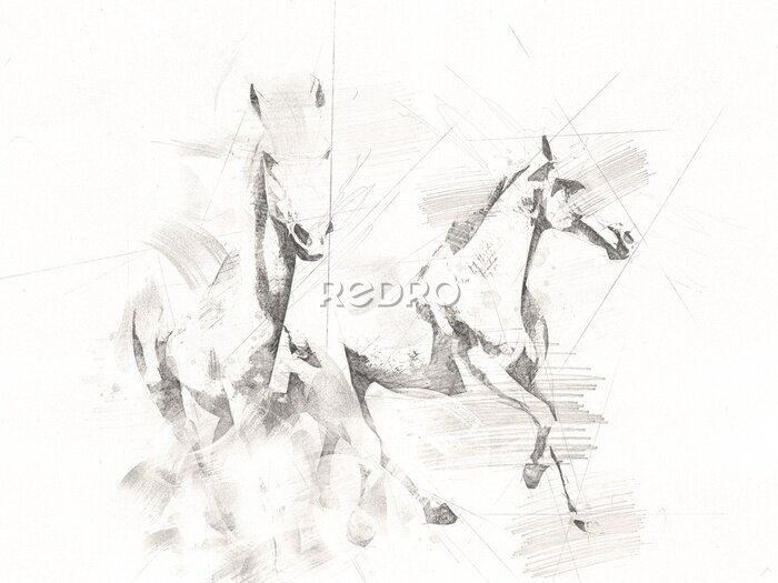 Papier peint  Croquis de chevaux de course