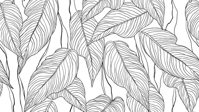 Papier peint  Croquis de feuilles montrant leur structure