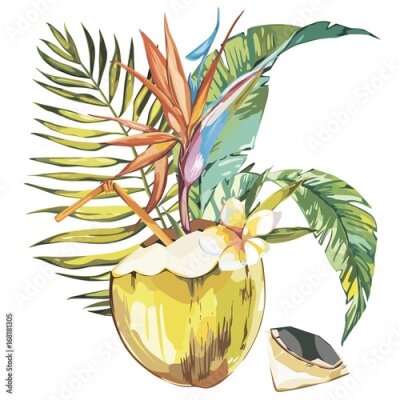 Papier peint  Croquis de noix de coco à la main avec des fleurs de feuilles de palmiste, de plumeria et de strelitzia. Aquarelle vecteur illustration alimentaire alimentaire. Isolé sur fond blanc.