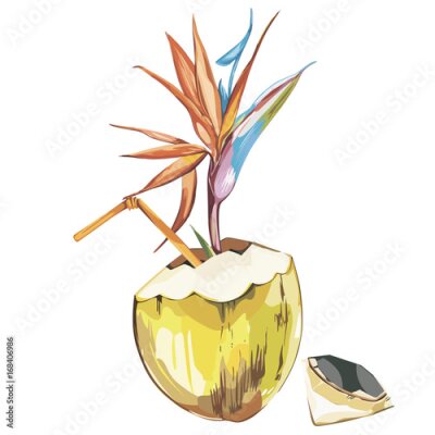 Papier peint  Croquis de noix de coco croquis à la main avec des fleurs strelitzia. Aquarelle vecteur illustration alimentaire alimentaire. Isolé sur fond blanc.