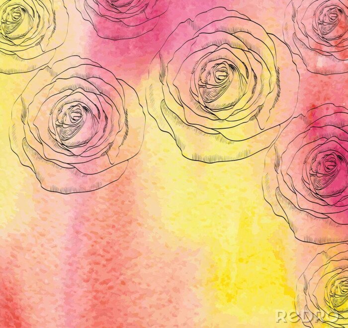 Papier peint  Croquis de roses sur fond aquarelle