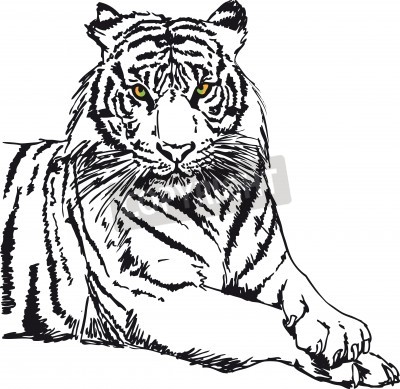 Papier peint  Croquis de tigre monochrome