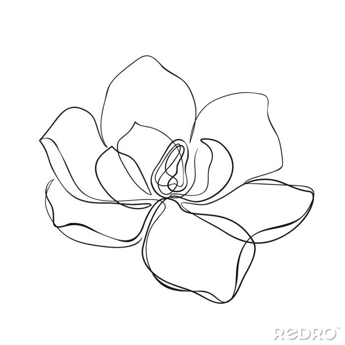 Papier peint  Croquis manuel isolé de magnolia