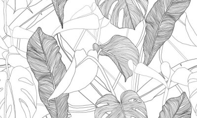 Papier peint  Croquis minimaliste noir et blanc de feuilles tropicales