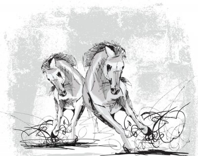 Papier peint  Croquis représentant les chevaux en mouvement