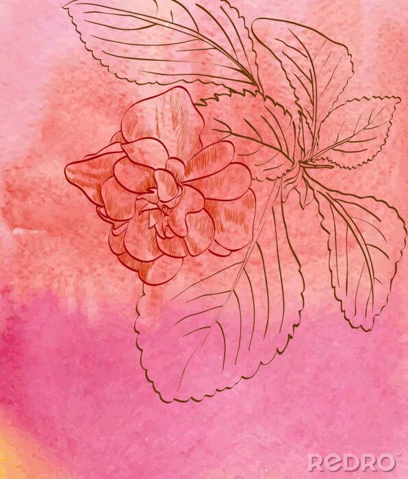 Papier peint  Croquis rose et feuilles