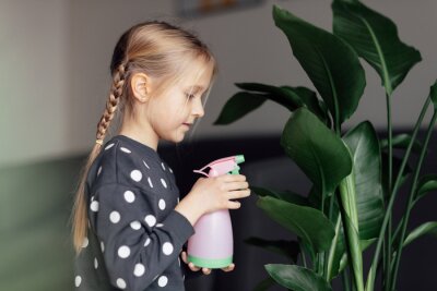 Papier peint  Cute caucasian little girl spraying Strelitzia houseplant from bottle, moisturising leaves during heating season at home. Greenery in modern apartment. Love and take care of plants, hobby time. Indoor