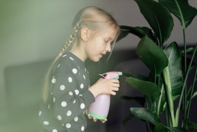 Papier peint  Cute caucasian little girl spraying Strelitzia houseplant from bottle, moisturising leaves during heating season at home. Greenery in modern apartment. Love and take care of plants, hobby time. Indoor