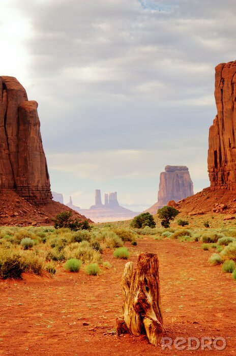 Papier peint  Dans la vallée