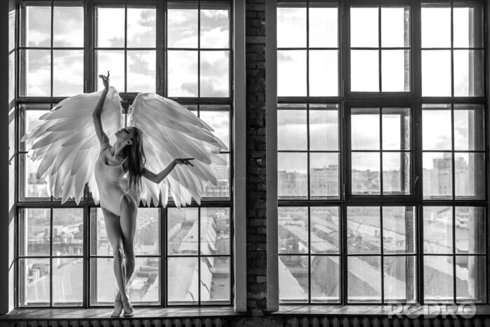 Papier peint  Danseuse de ballet dans la fenêtre
