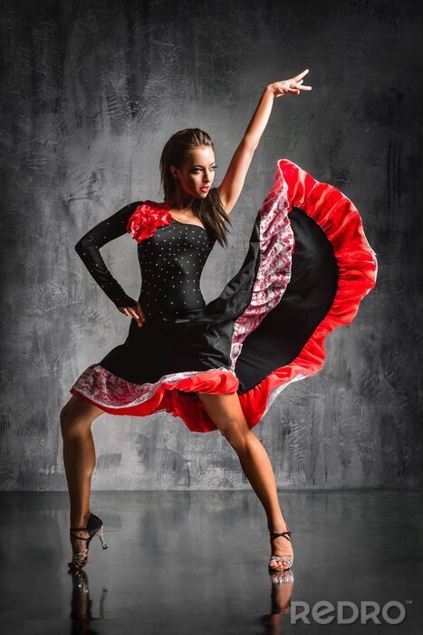 Papier peint  Danseuse de flamenco