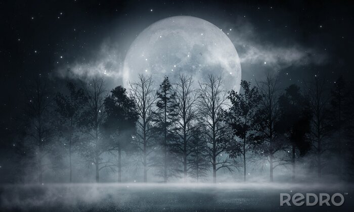 Papier peint  Dark forest. Gloomy dark scene with trees, big moon, moonlight. Smoke, shadow. Abstract dark, cold street background. Night view.