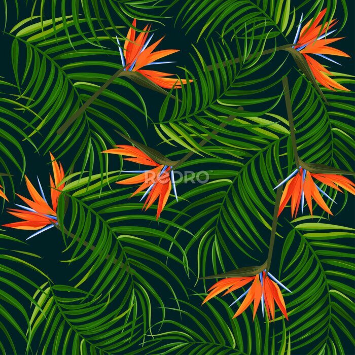 Papier peint  Dark tropical background. Palm leaves and bird of paradise strelitzia seamless pattern.