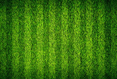 Papier peint  De l'herbe verte sur un terrain de sport
