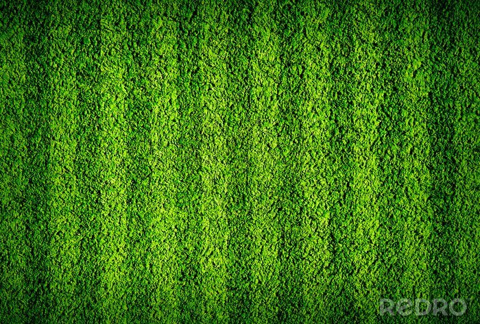 Papier peint  De l'herbe verte sur un terrain de sport