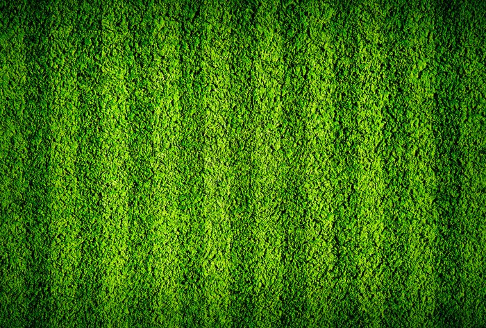 Papier peint  De l'herbe verte sur un terrain de sport