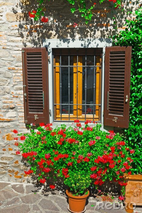 Papier peint  De magnifiques fleurs devant une fenêtre