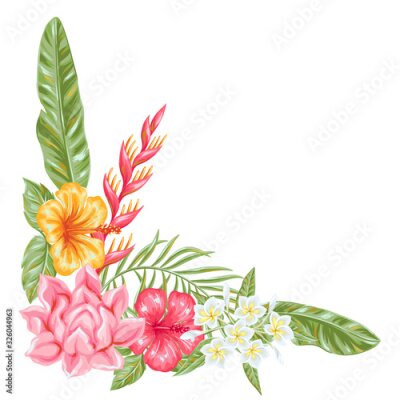Papier peint  Decorative element with tropical flowers and leaves.