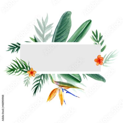 Papier peint  Decorative frame Bird of paradise flower, watercolor Strelitzia reginae, crane flower hand drawn botanical illustration isolated on white backdrop, exotic tropical plant branch Strelicia greeting card