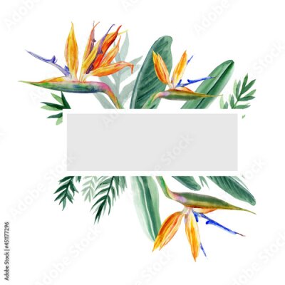 Papier peint  Decorative frame Bird of paradise flower, watercolor Strelitzia reginae, crane flower hand drawn botanical illustration isolated on white backdrop, exotic tropical plant branch Strelicia greeting card