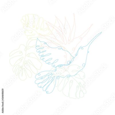 Papier peint  Decorative hand drawn colibri, strelitzia and monstera, design elements. Can be used for cards, invitations, banners, posters, print design. Continuous line art style