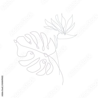 Papier peint  Decorative hand drawn strelitzia flower and monstera, design elements. Can be used for cards, invitations, banners, posters, print design. Continuous line art style