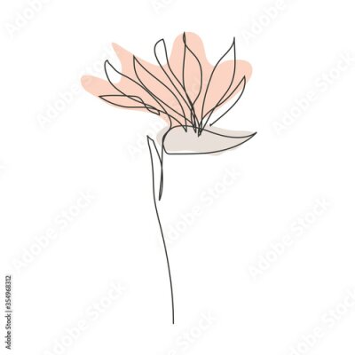 Papier peint  Decorative hand drawn strelitzia flower, design element. Can be used for cards, invitations, banners, posters, print design. Continuous line art style